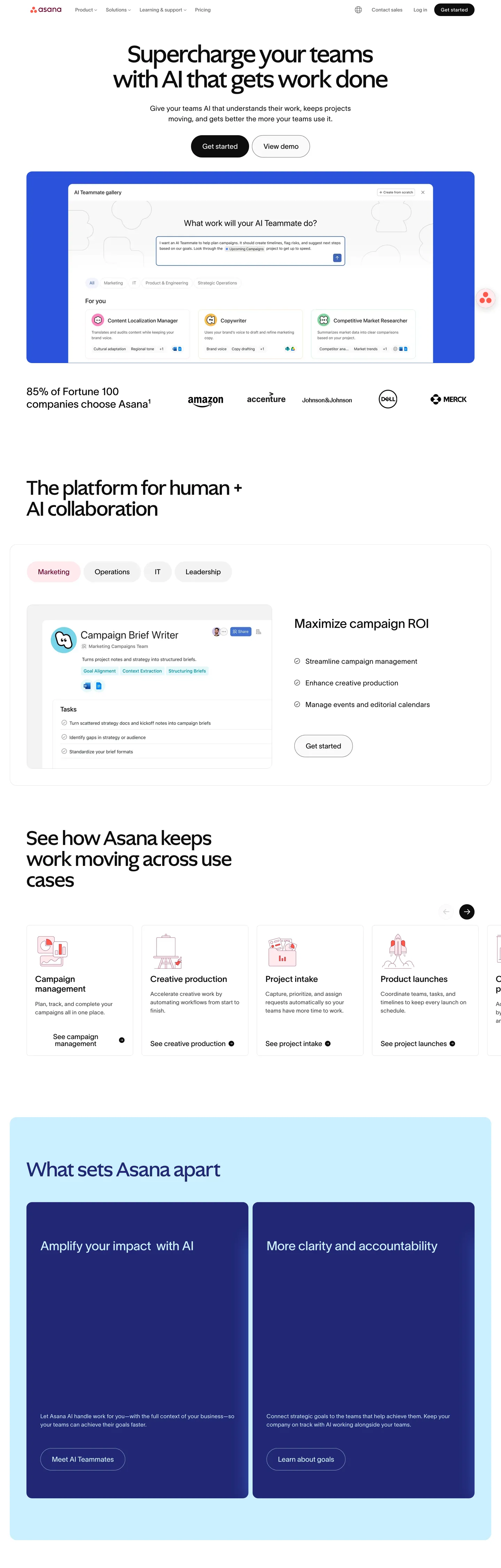 Asana's website at asana.com